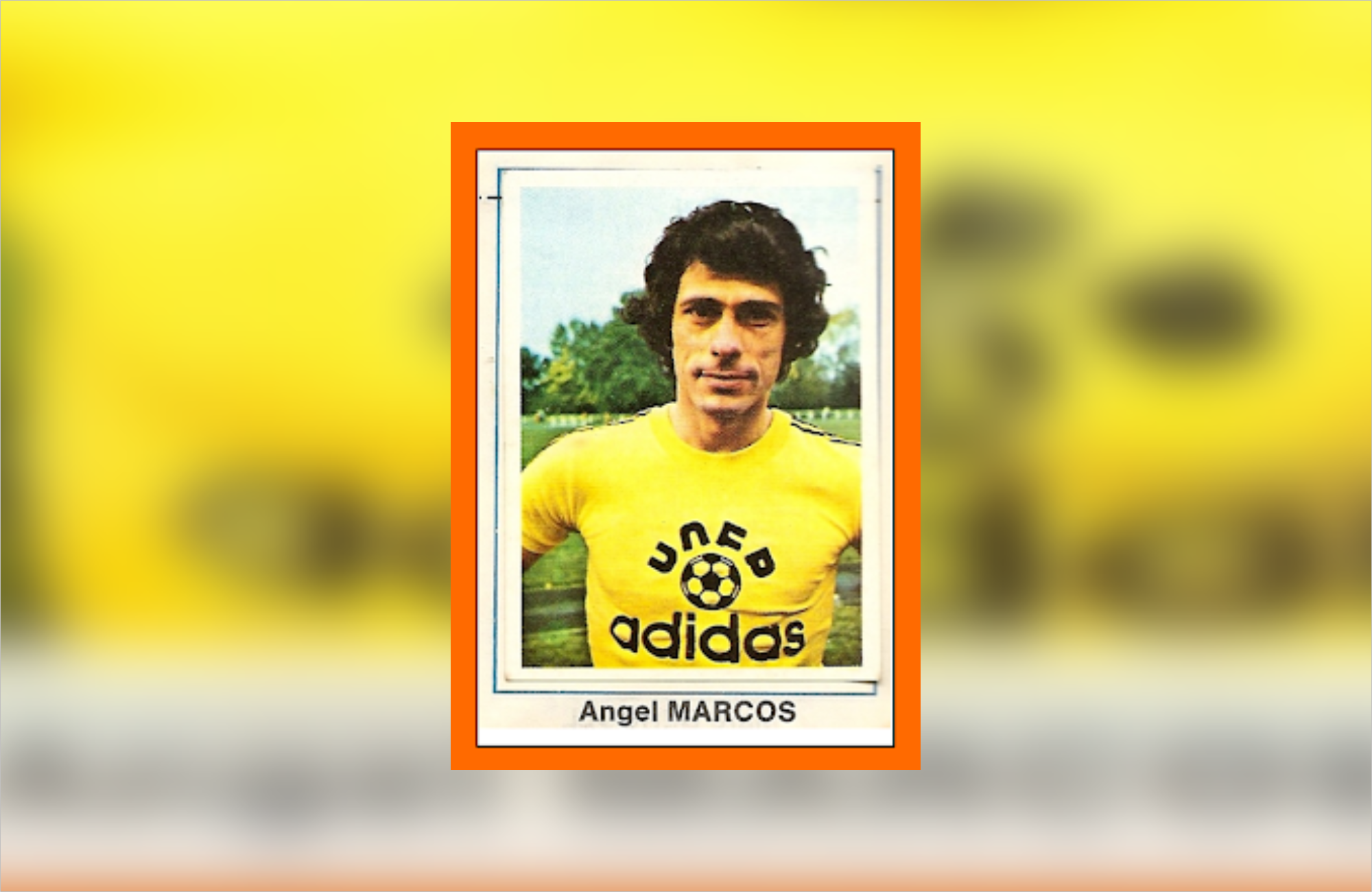 Angel Marcos