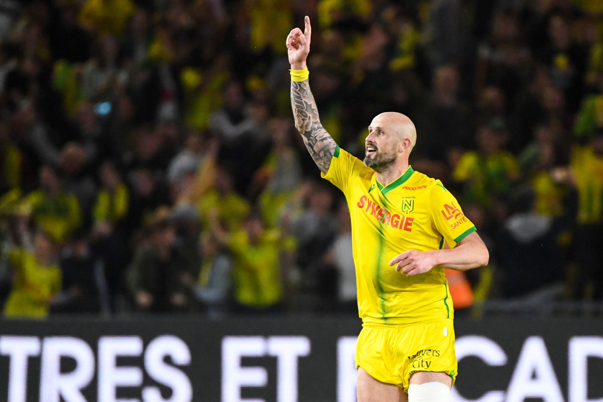 Nicolas Pallois