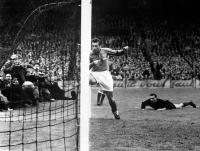 Thadée Cisowski
