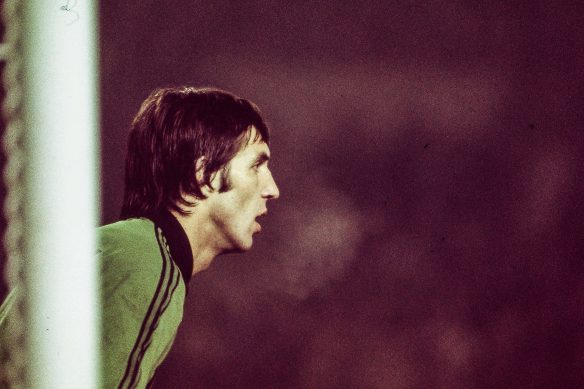 Jean-Paul Bertrand-Demanes