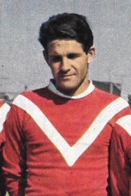 Louis Provelli