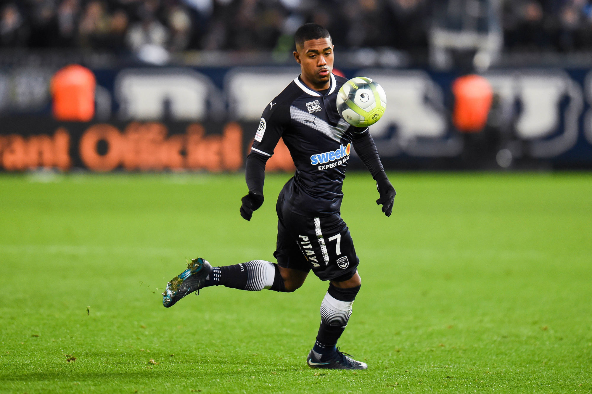 Malcom